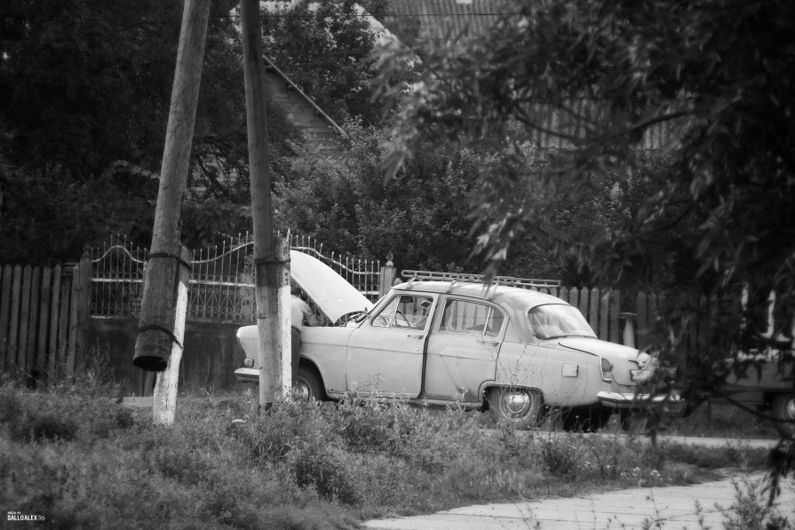 Ну давай, родная ... - Алексей Салло