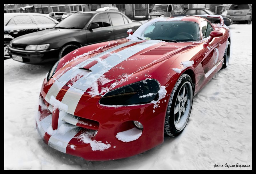 Dodge Viper - Сергей Бережко