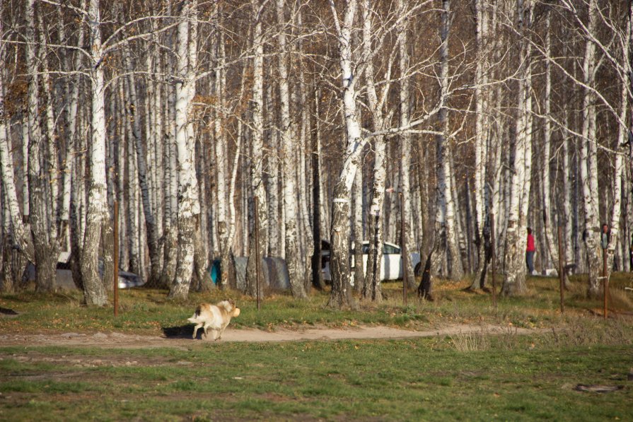 И такое бывает...3 - Eskant foto