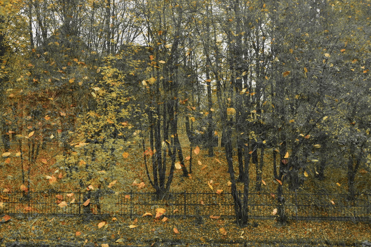 Осень - Анастасия Смирнова