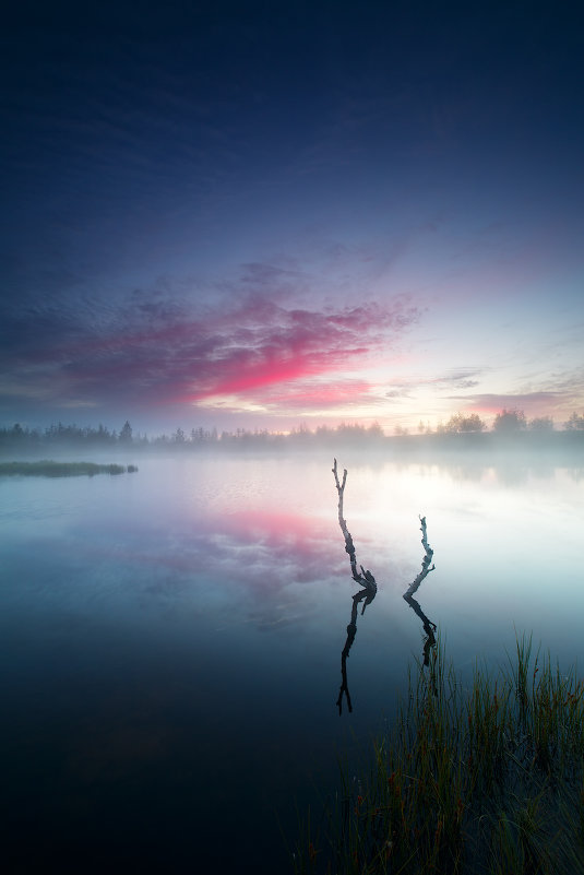 Утро у озера в тундре - Александр Матвеев 