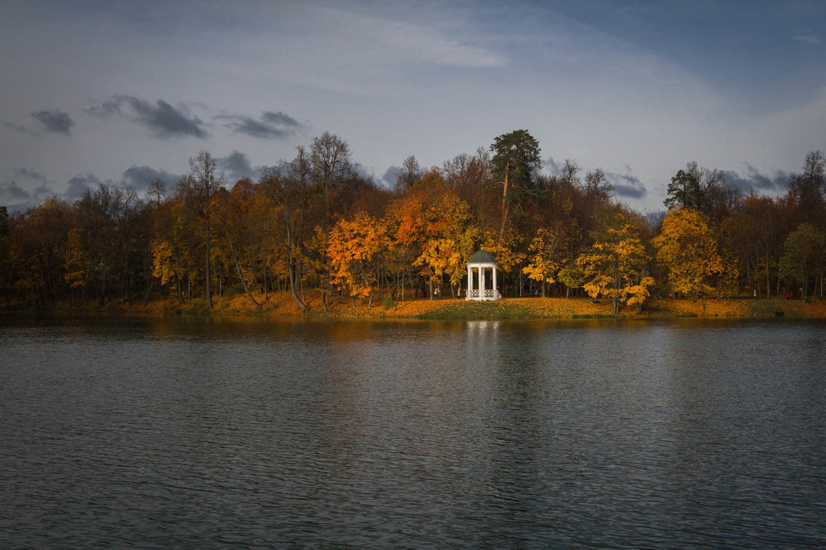 Осень в парке - Mozgovkina 