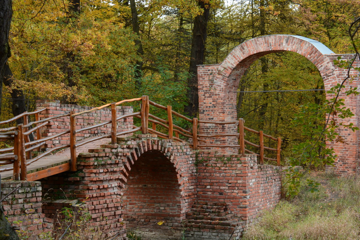 Осенний парк в Дессау. Германия. - Lada Kozlova