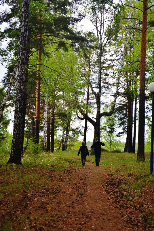 Прогулки по лесу - Katrin Bakeeva