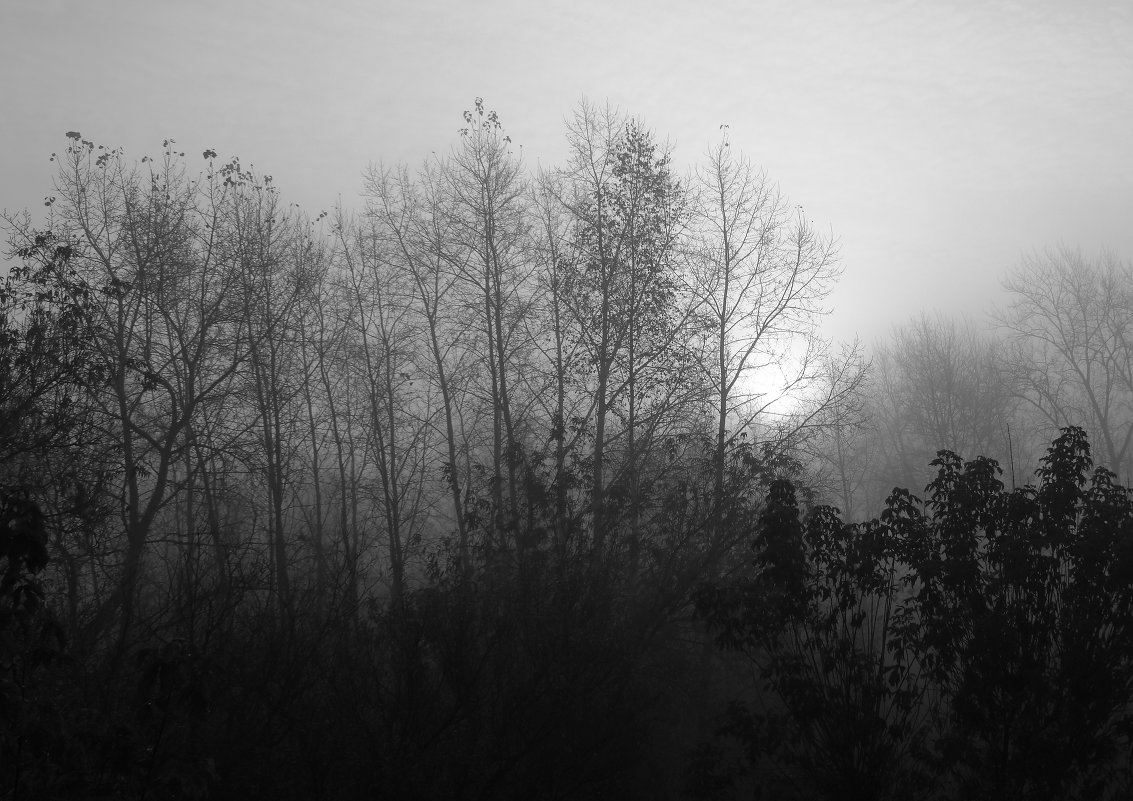 Туман - Evgeniy Katin
