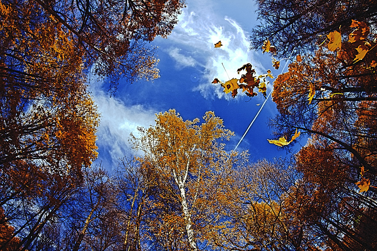 облака осенью картинки