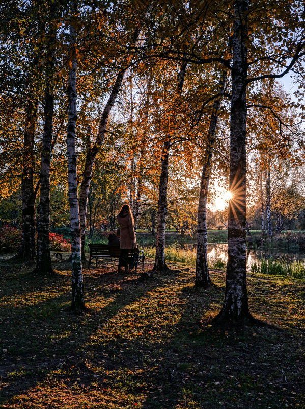 Осенний вечер в московском Ботаническом саду - Алексей Саломатов 