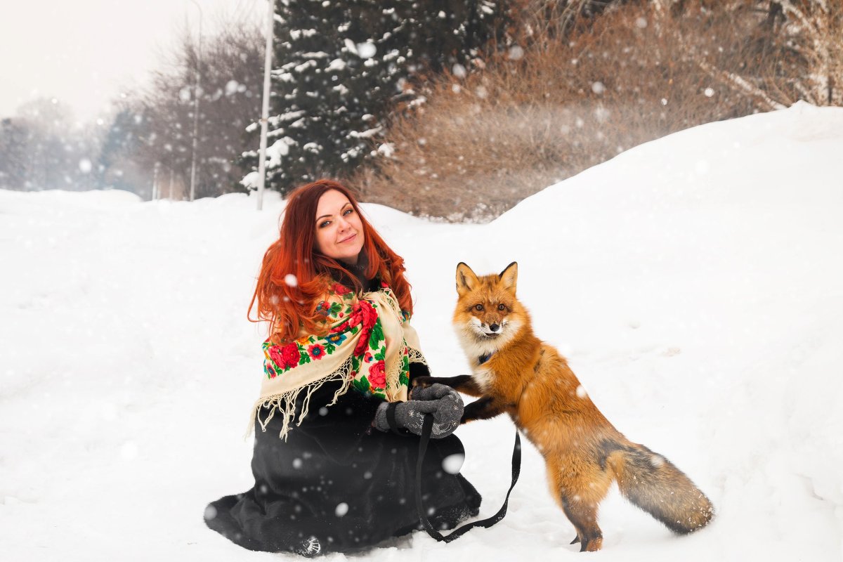 Девушка с лисом - Дарья Рыбникова 