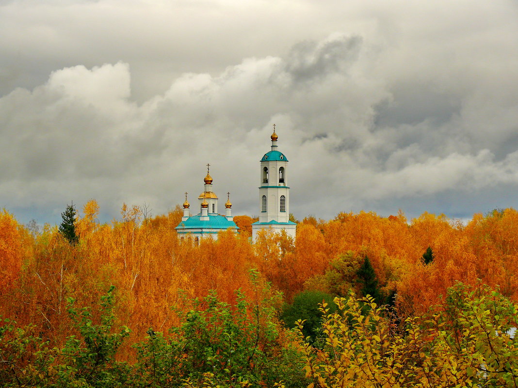 Золотая осень. - Анатолий Борисов