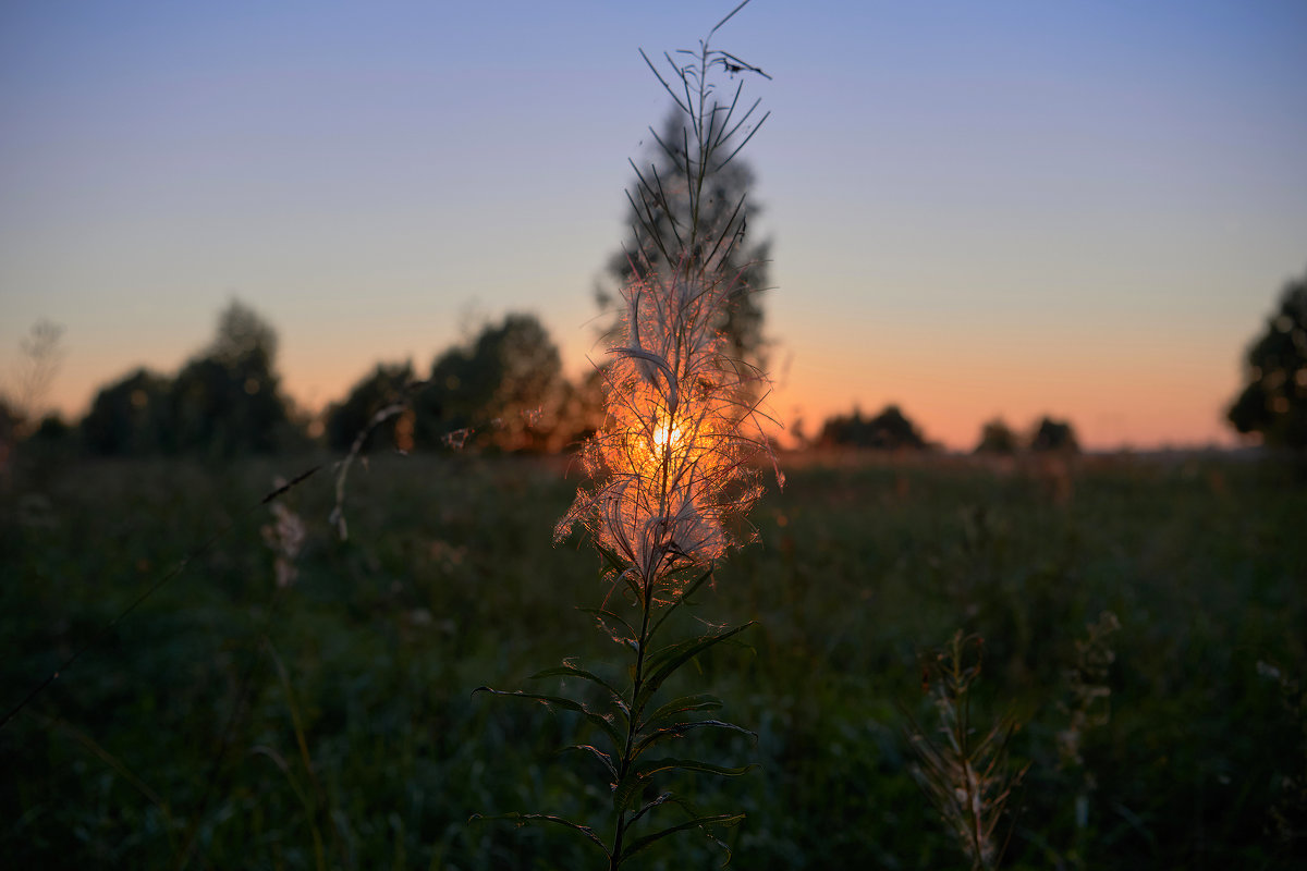 Вечереет, солнце село,вот и лето пролетело. - Николай Соколухин