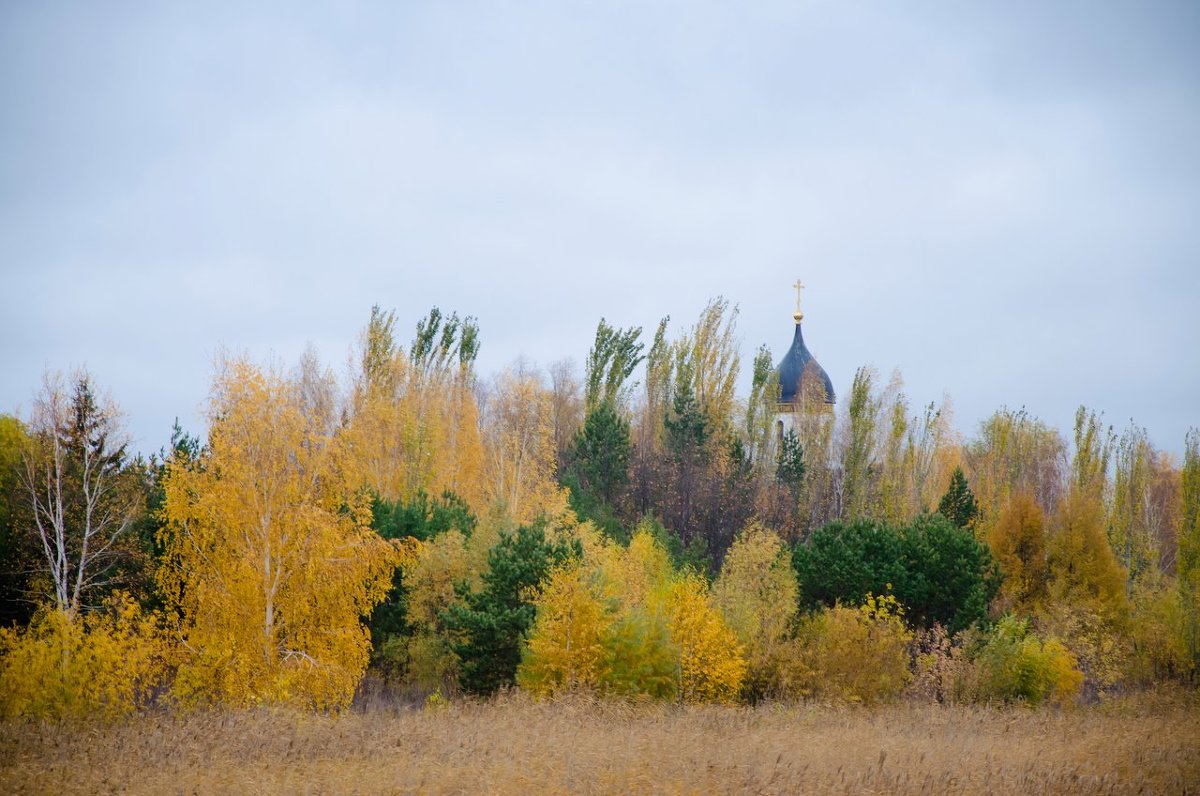 Осень... - Мария Ларионова