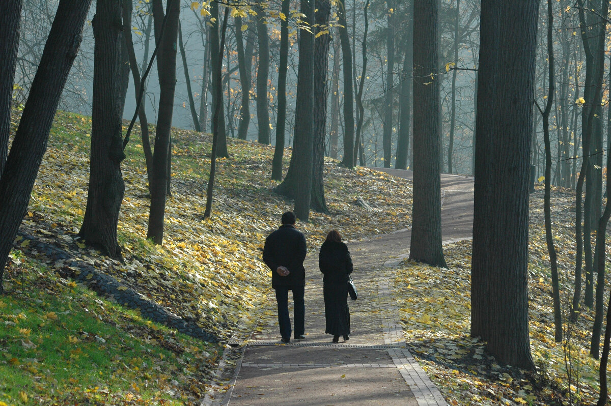 Осень в парке Царицыно (Москва). - Борис Бутцев