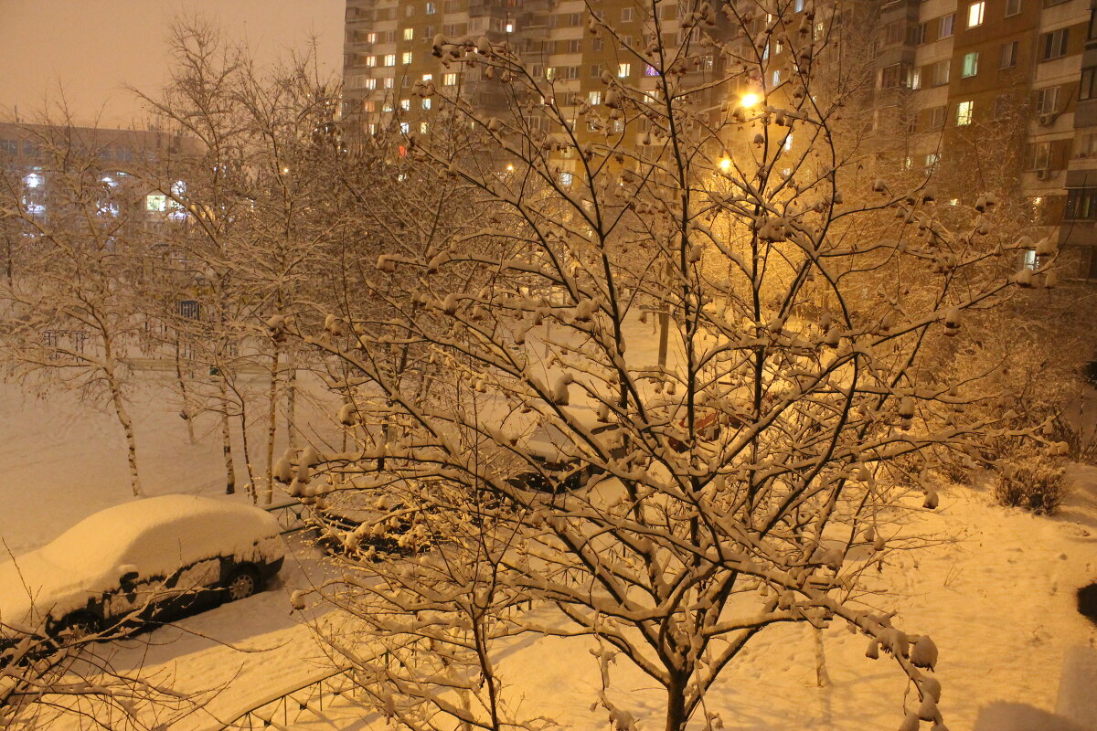 Московский зимний двор - Людмила В.