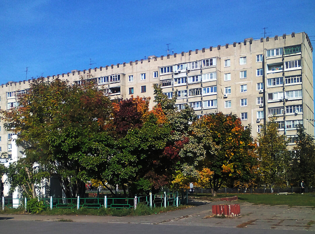 разноцветная осень - александр дмитриев 