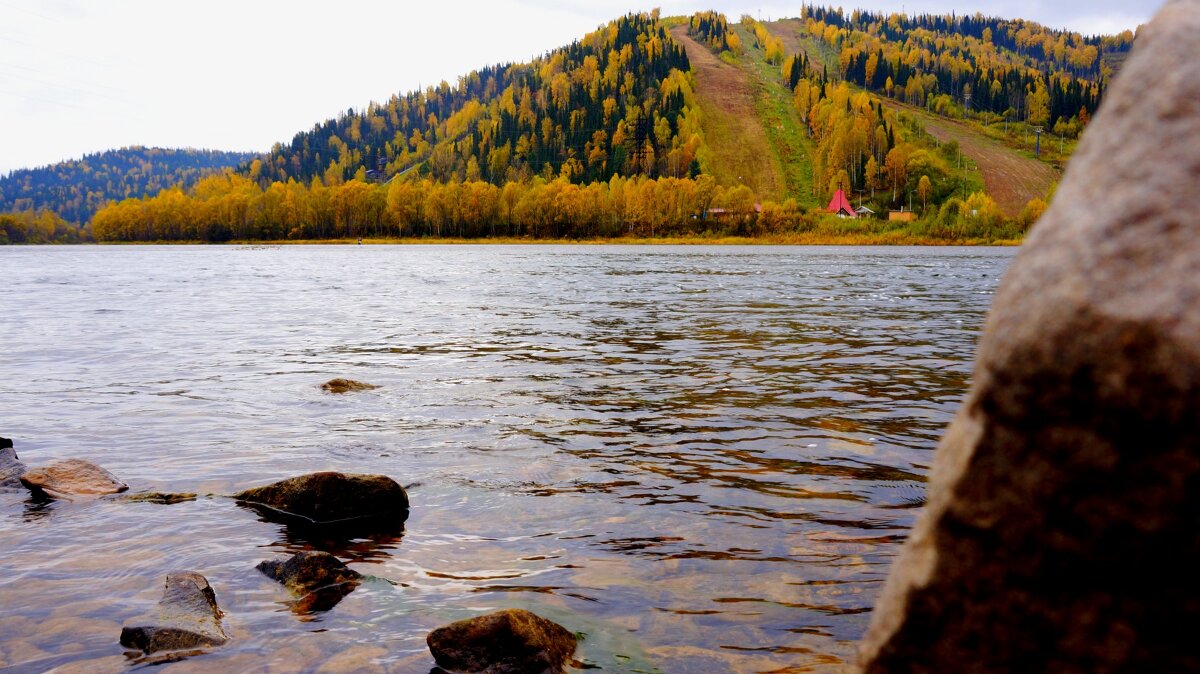 Осенний лес - Мария 