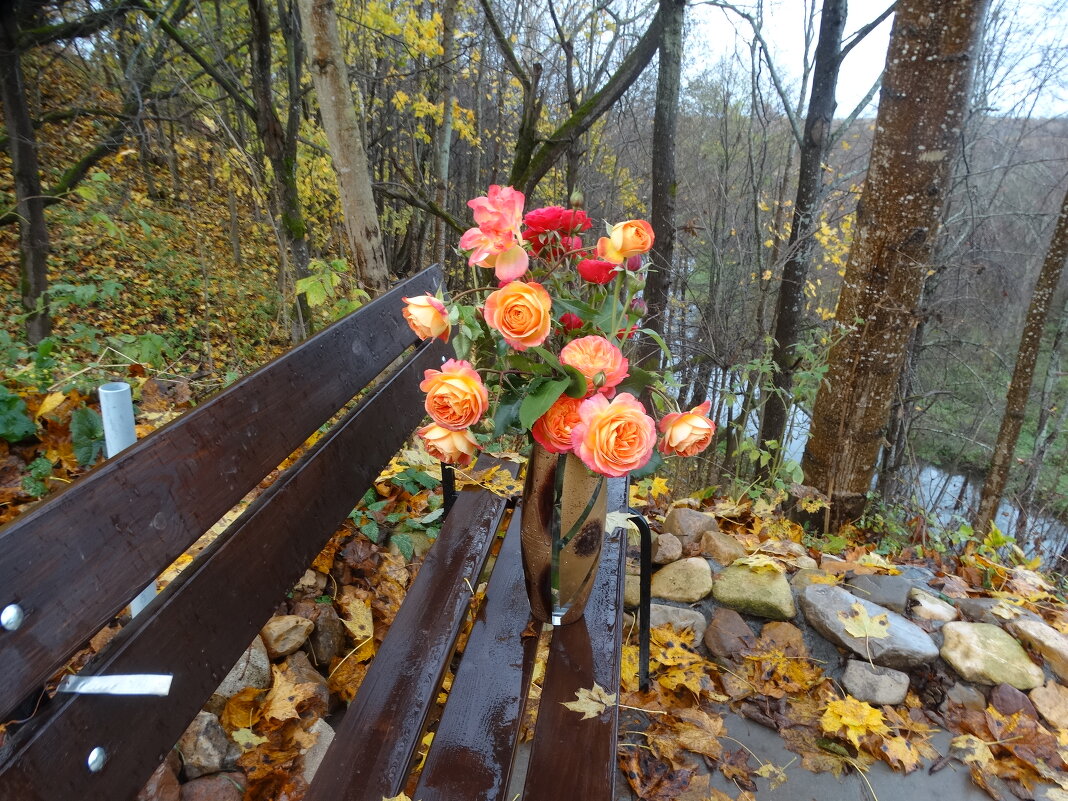 Осенние розы - Татьяна Сапрыкина 