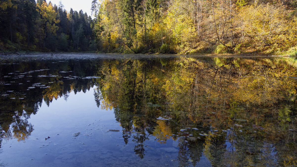 Отражение в воде - Станислав Водяков