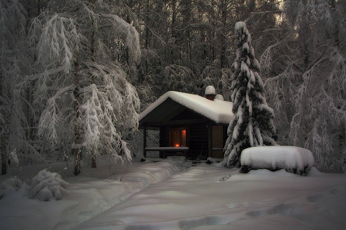 Однажды зимой - Сергей Алексеев
