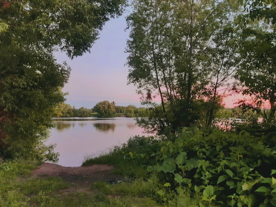 Розовый июньский вечер на Москва-реке - Екатерина К.