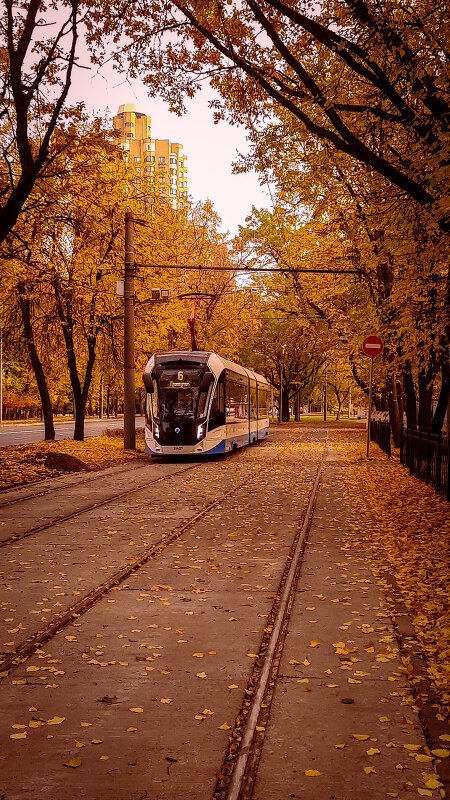 трамвай в осень - Ольга Гончарова