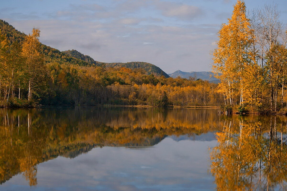 Сентябрь - Татьяна Башкирова