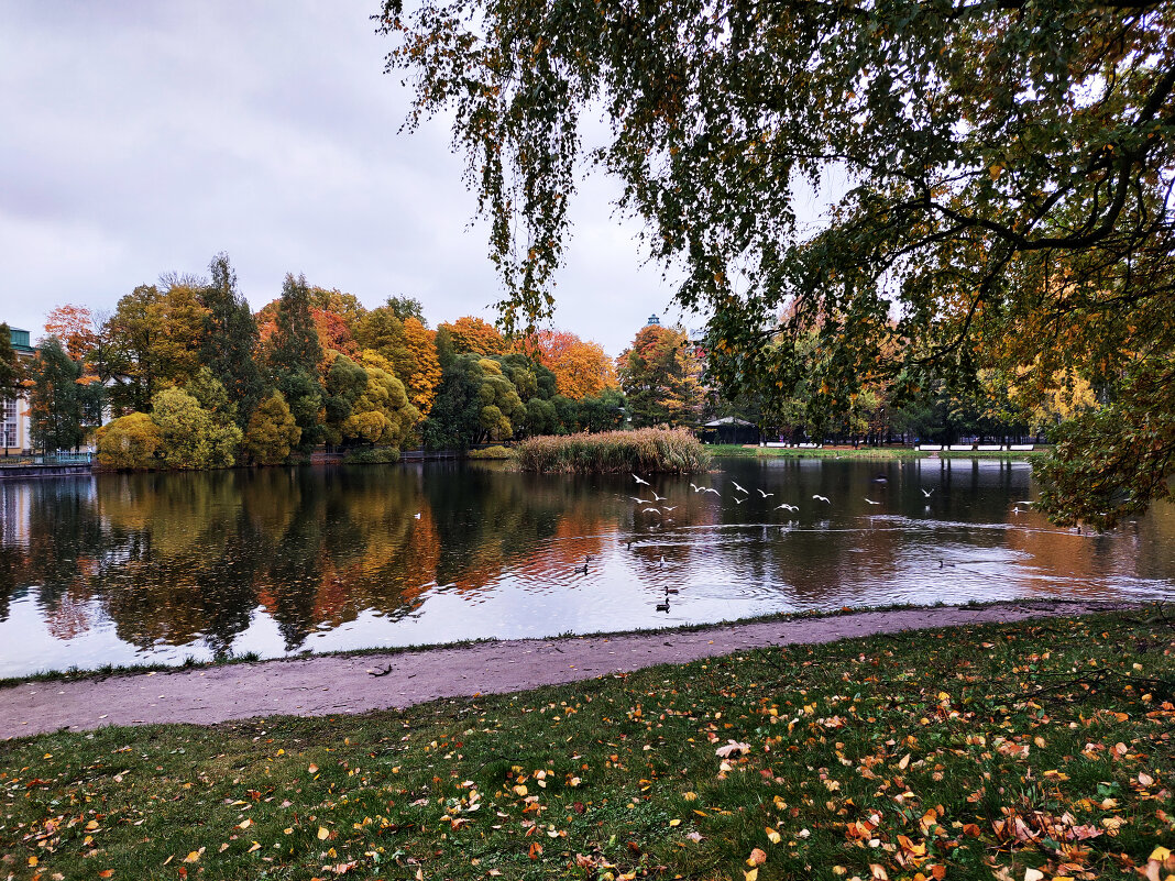 ... - Лариса Елисеева