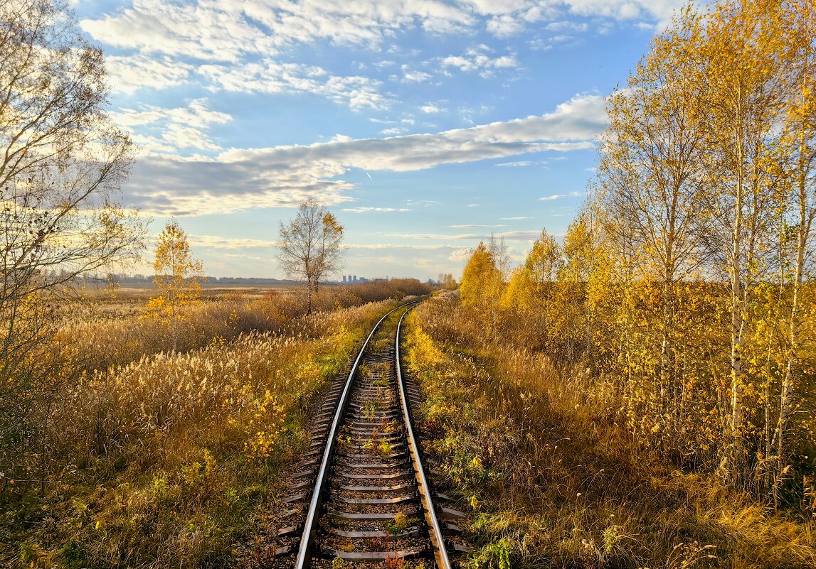 ... - алексей 