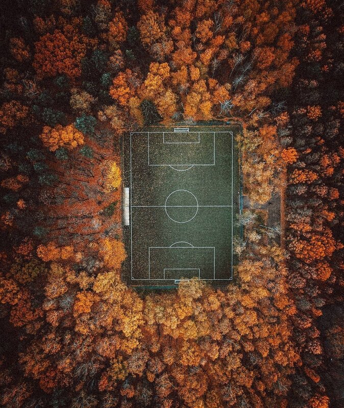 Осеннее поле - Ангелина Букина