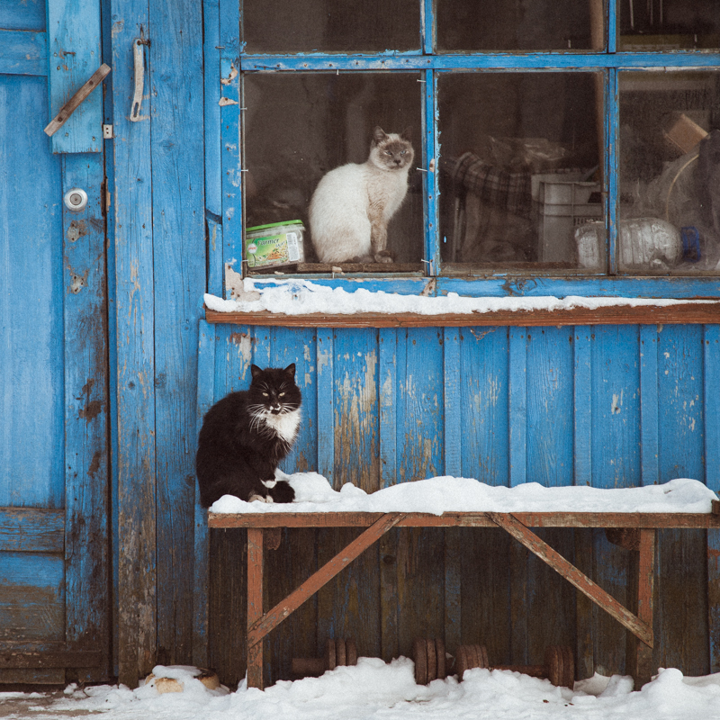 ... - Екатерина Манько