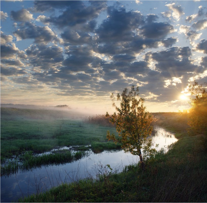 На заре картинки