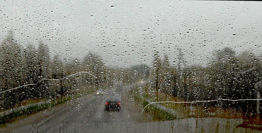 Дождь в дорогу - Olga Salnikova