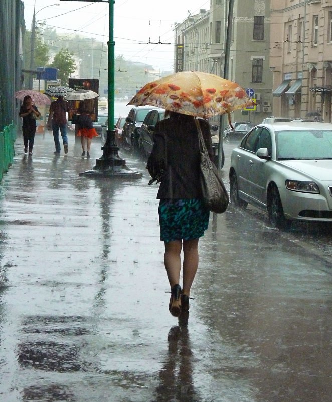 Летний дождь - Наталья Rosenwasser