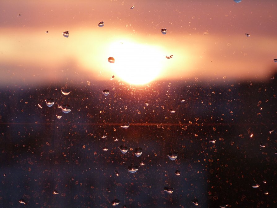 Sunlight in the rain drops - Elena Dvorkina
