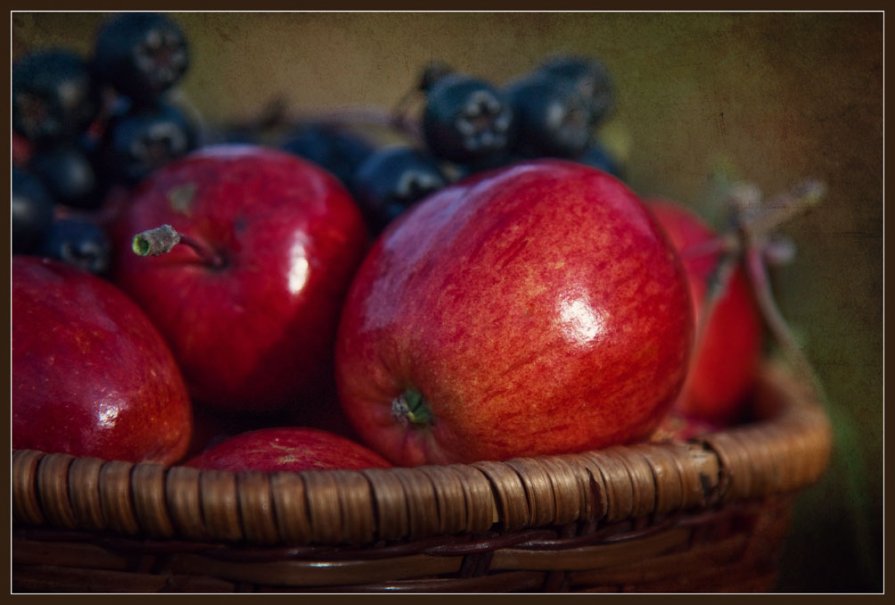 Яблочки и арония - Татьяна Афанасьева