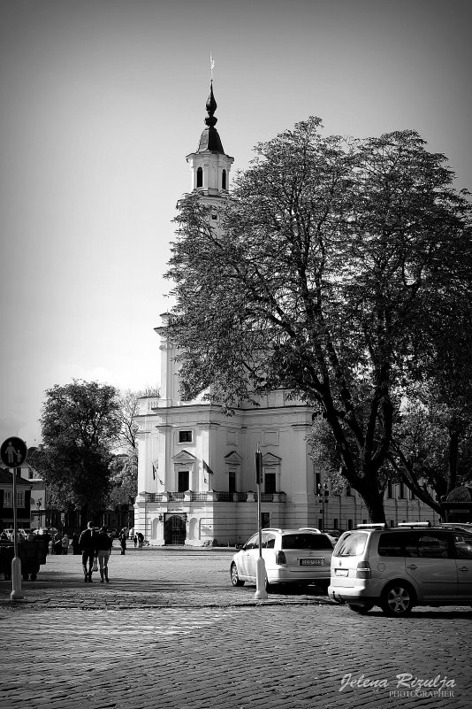 Каунасская ратуша - Jelena 