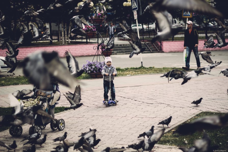 Игнат и голуби! ) - Дмитрий Бугров
