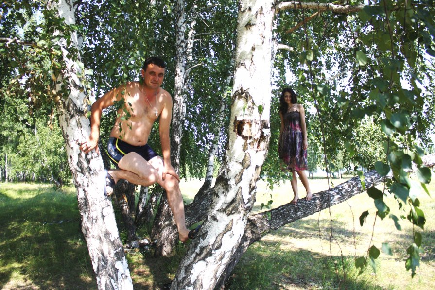 Люди на деревьях - Oili Karpova