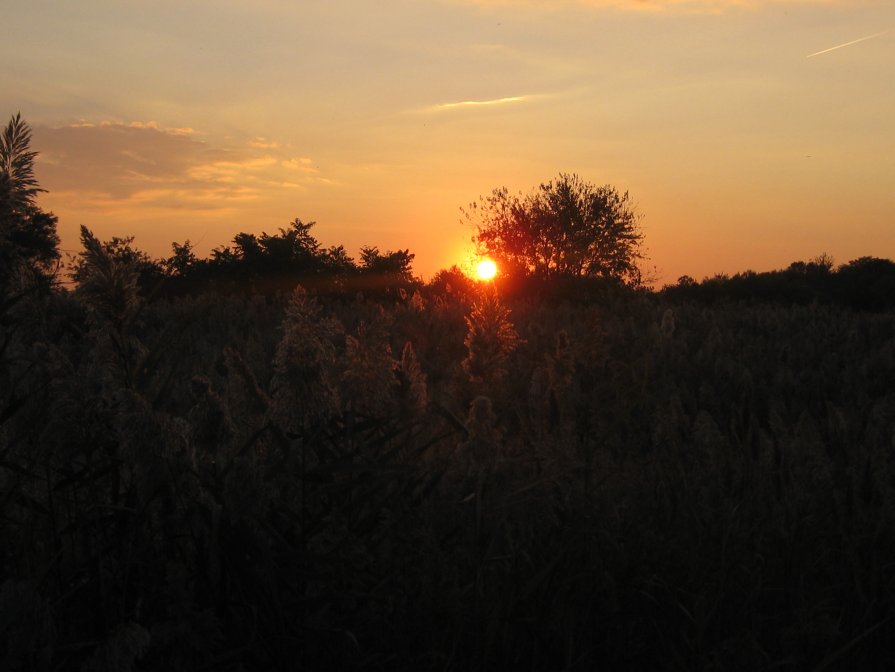 ~SUNSET~ - ~GIORGI TSINTSADZE~