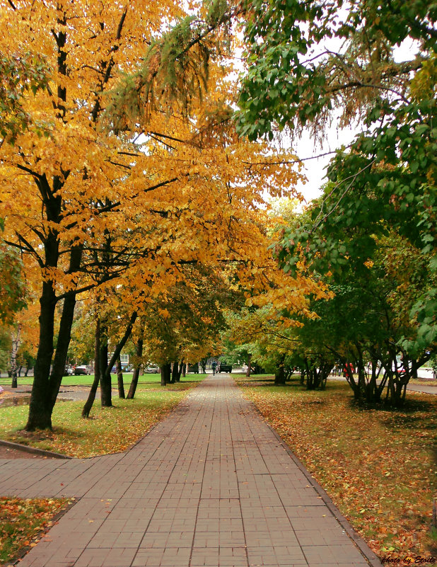 Осенний Новосибирск - Lady Etoile