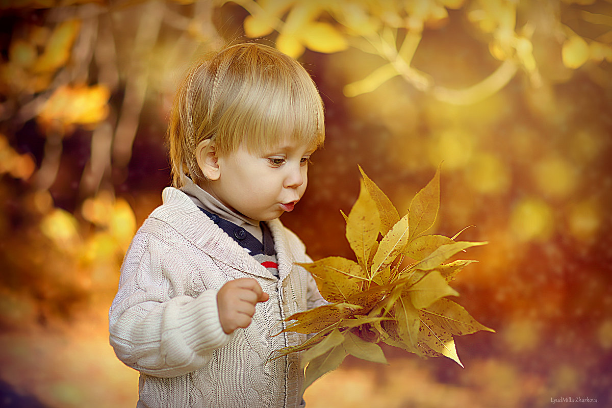 "Осень,осень!Ну давай у листьев спросим..." - LyudMilla Zharkova