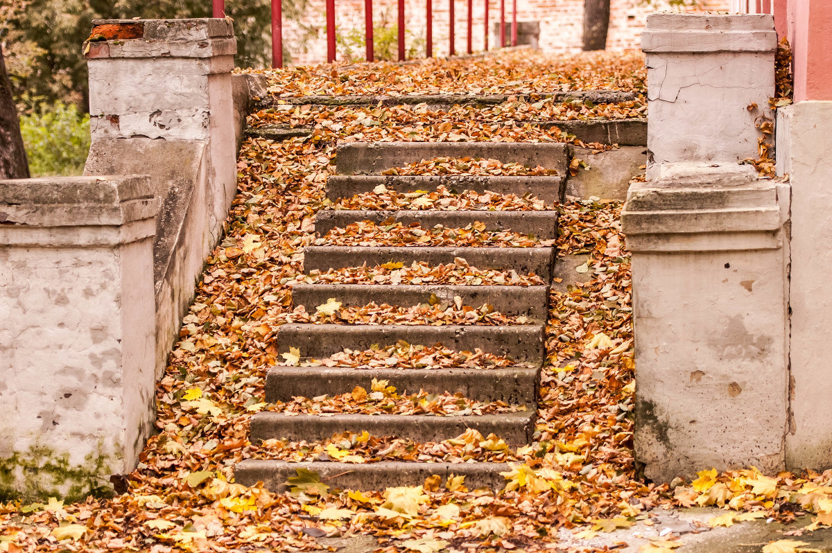 Лестница в Осень - Виталий Качанов
