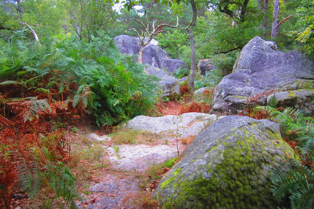 ...в нескольких шагах..от  Fontainebleau - Maria 