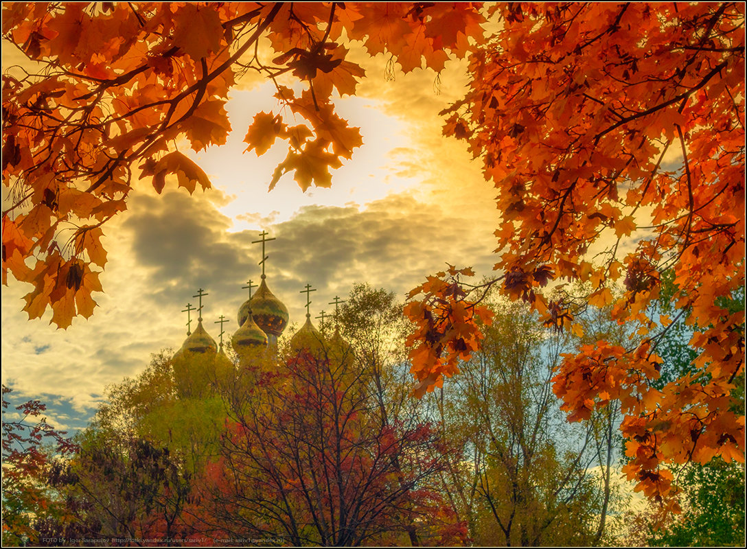 картинки золотая осень россии