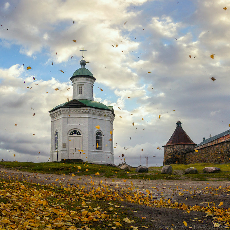 Осенний ветер - Александр Бобрецов