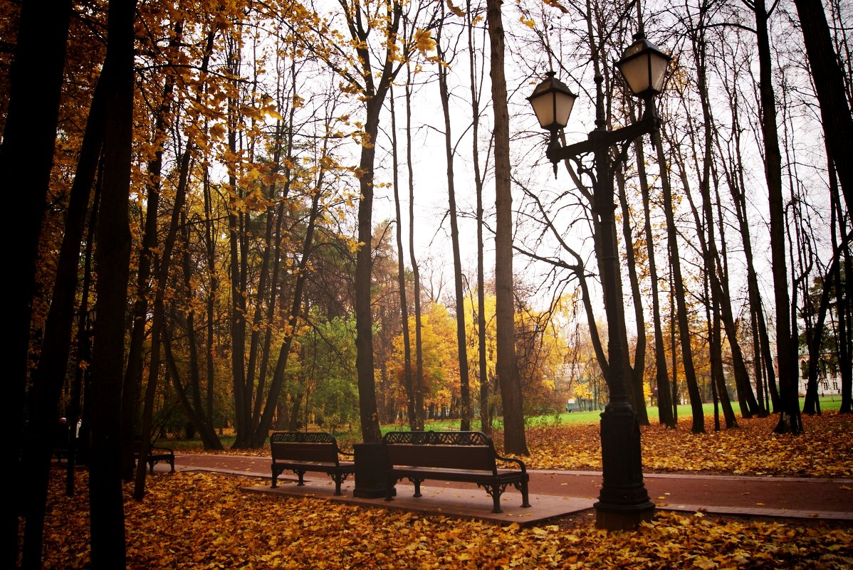 Осенний парк - Наталья Ткачёва