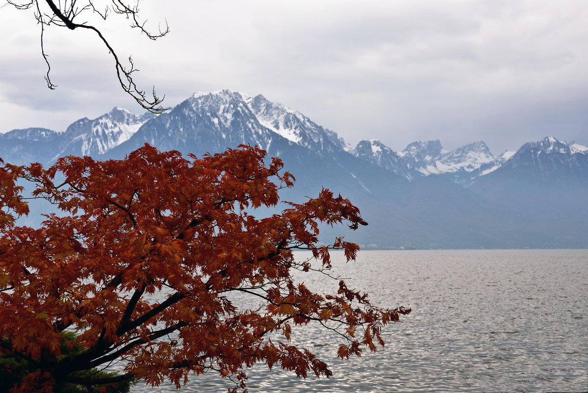 Осень на Женевском озере - Valeriy(Валерий) Сергиенко