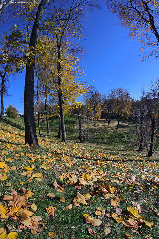 Осень в Царицыно - Natalia Today