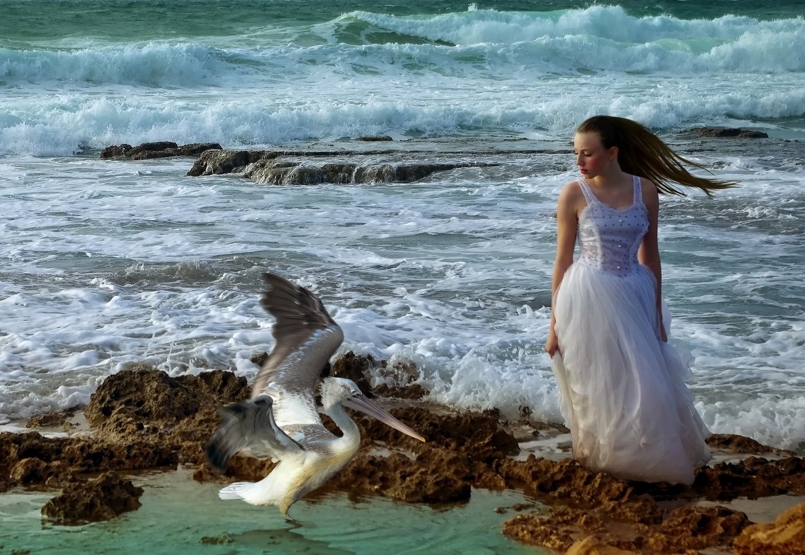 Девушка и море - Cофия Ошер