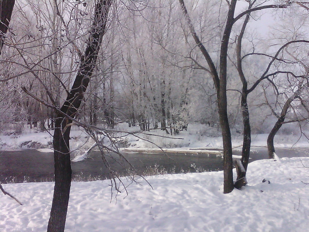 мое родное место,где я росту - Айсылу 