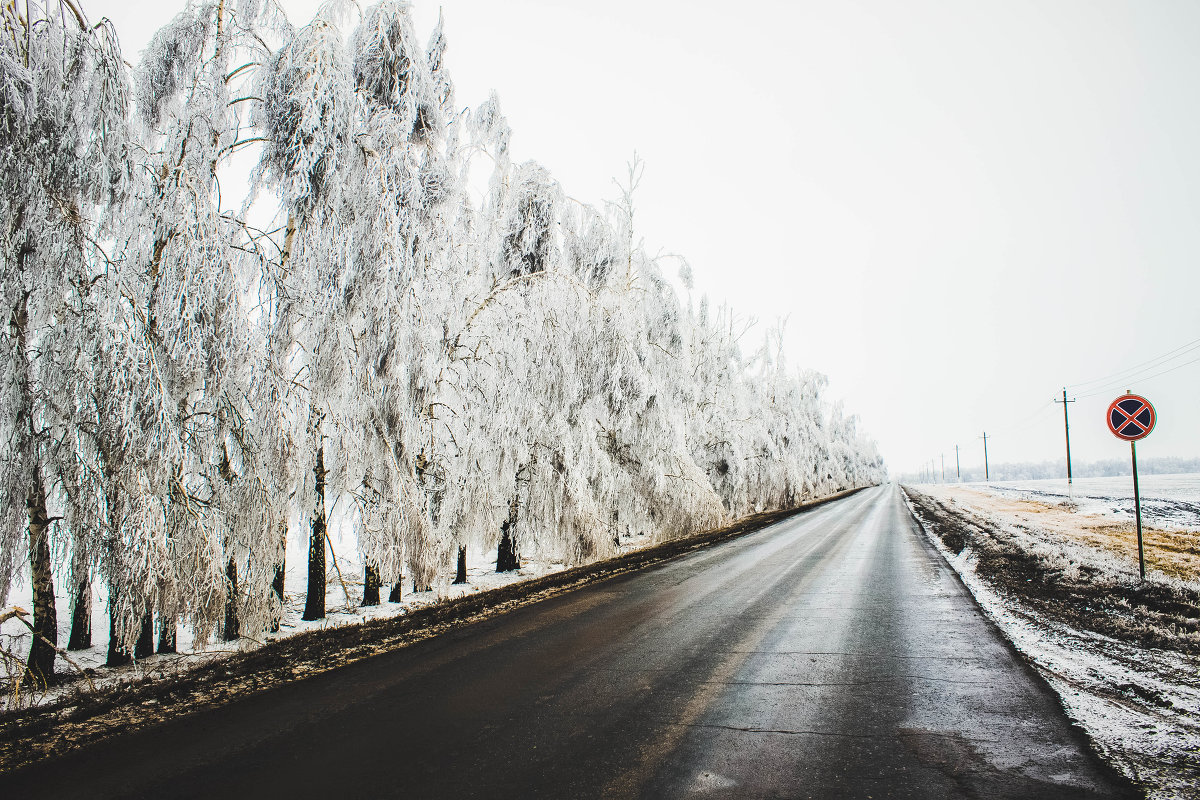 Зимняя дорога - Марина 